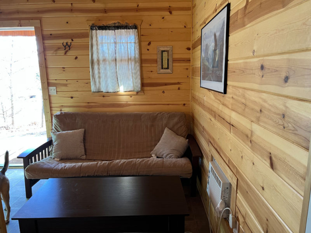 Family Cabin interior